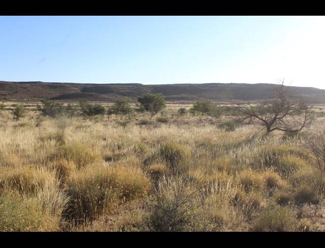 5,614HA FARM FOR SALE IN MERWEVILLE